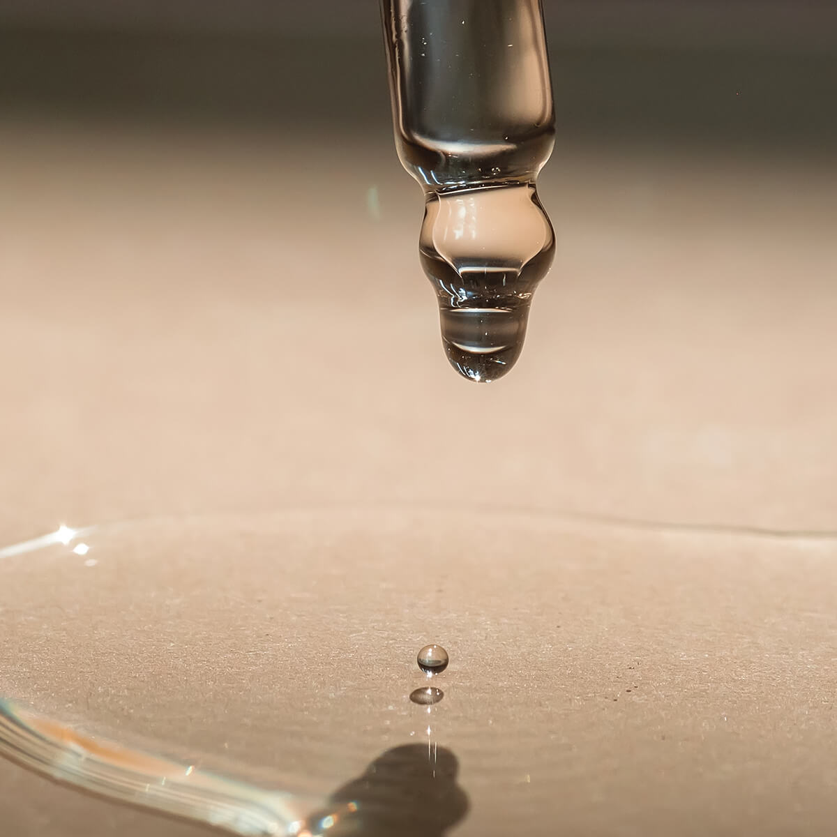 Your Gut is a Busy Place